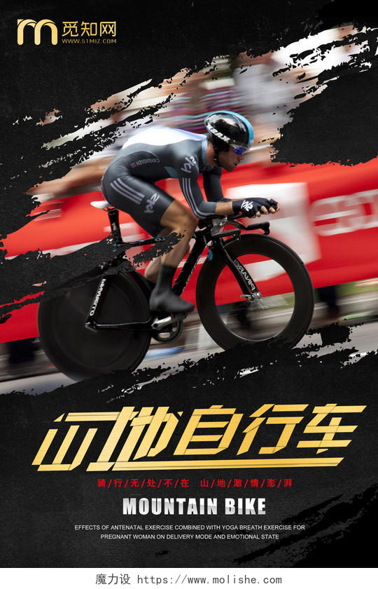山地自行车锦标赛海报